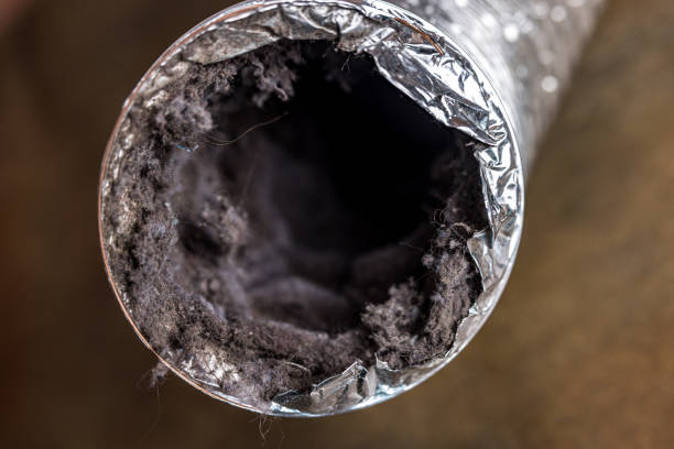 Best Ventilation Cleaning Services  in Greenville, NC