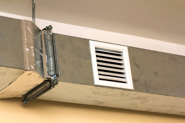 Best Air Vent Cleaning Services  in Greenville, NC