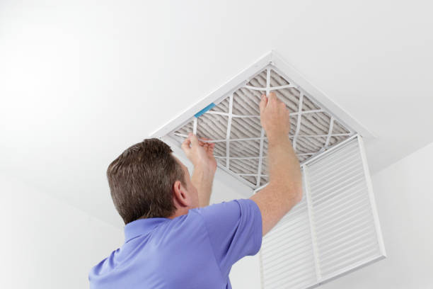 Best Ductwork Cleaning Services  in Greenville, NC